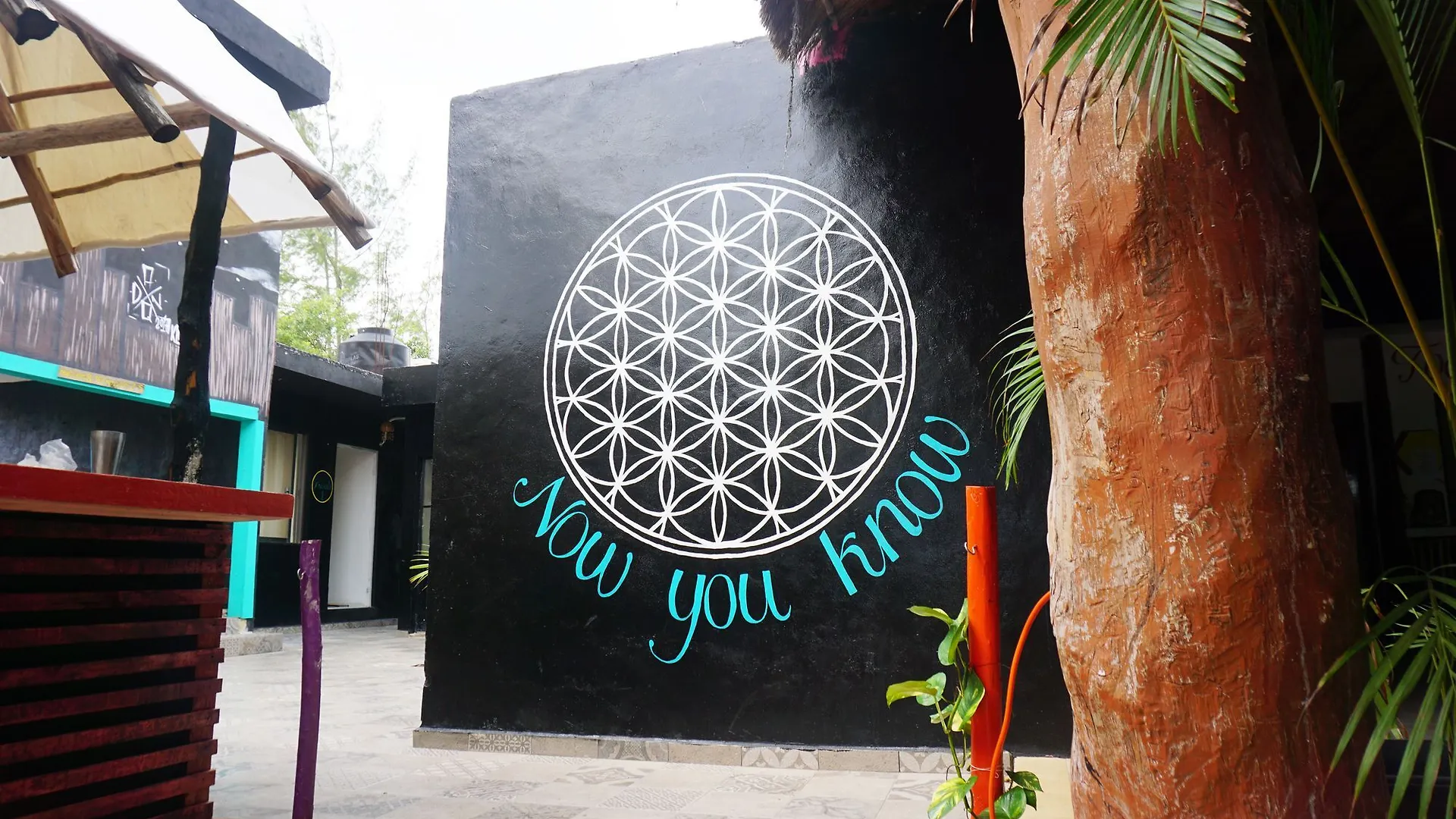 Lucky Traveler Hostel Tulum Mexico
