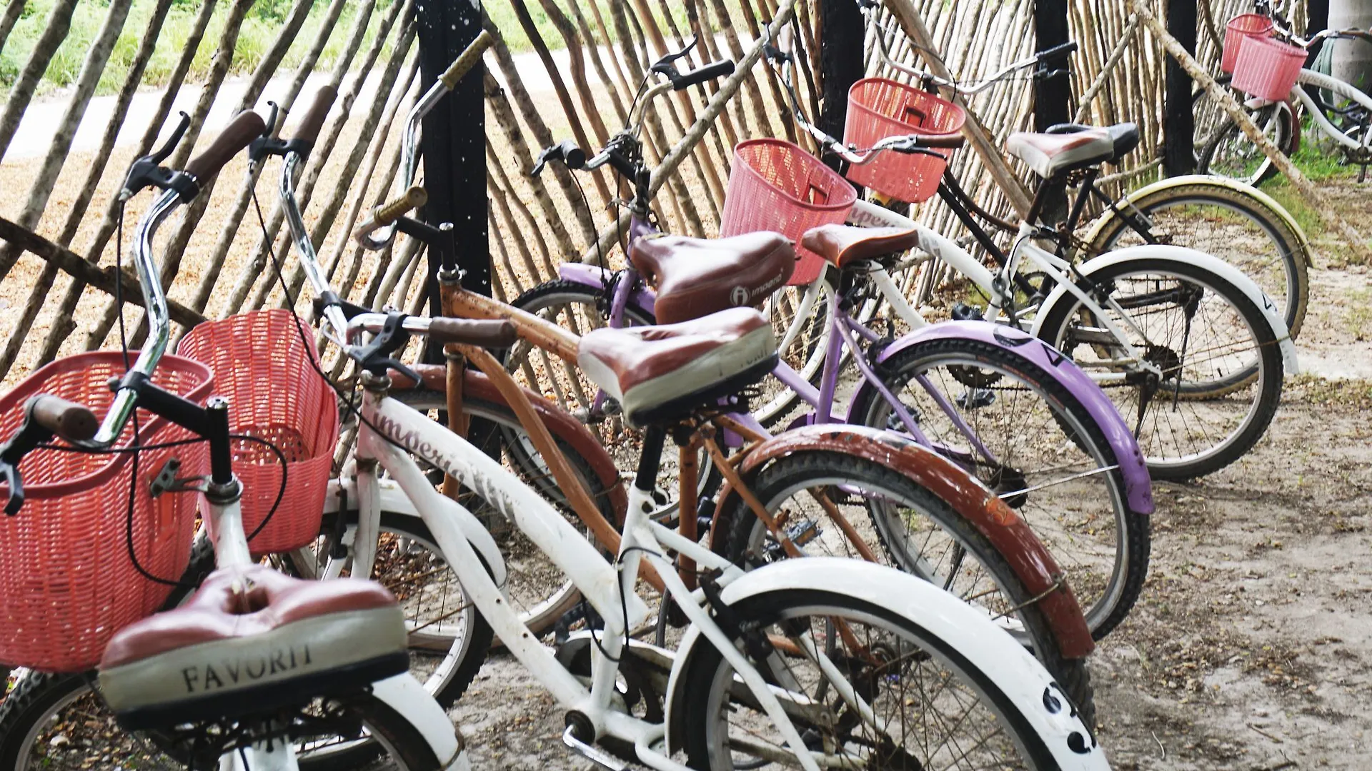 Hotel Lucky Traveler Hostel Tulum
